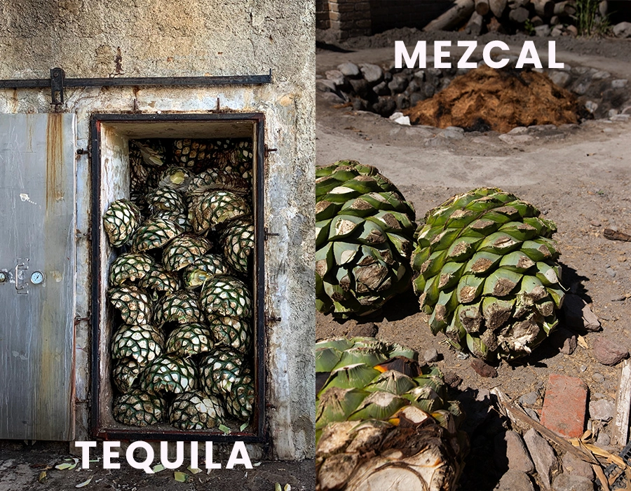 Proceso: Del horno al alma del destilado.