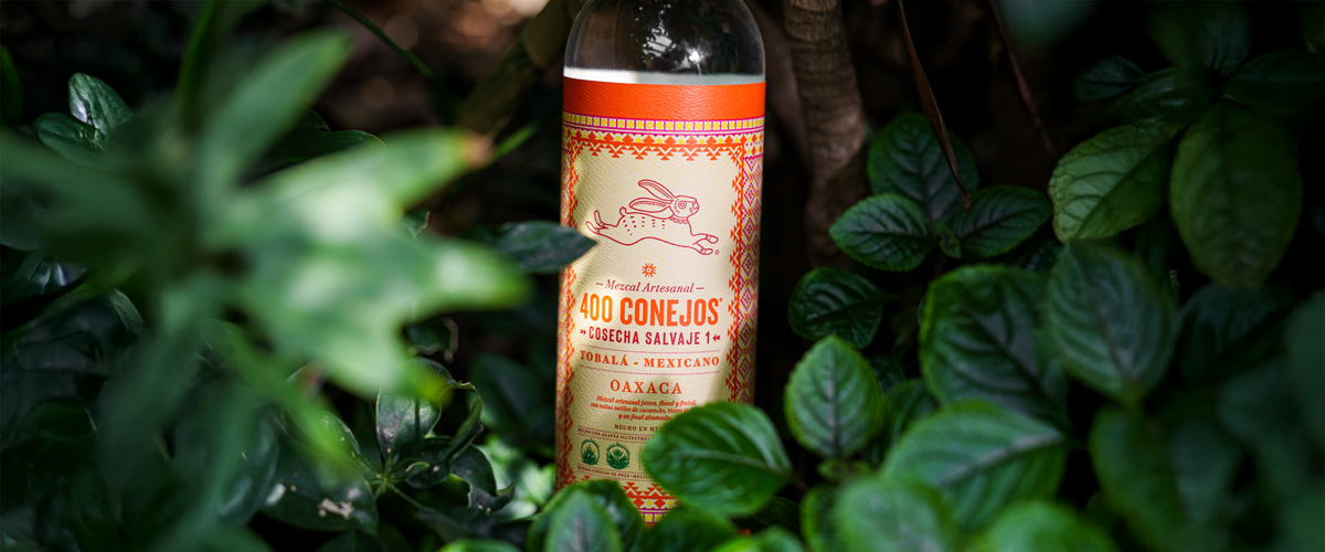 Mezcal de agave silvestre: la esencia salvaje que marca la diferencia